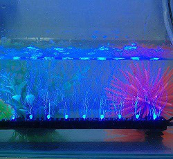 LED水底燈使用時，需要注意哪些事項(xiàng)(圖1)